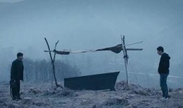 心迷宫在线观看免费观看,免费解锁，揭秘情感迷局